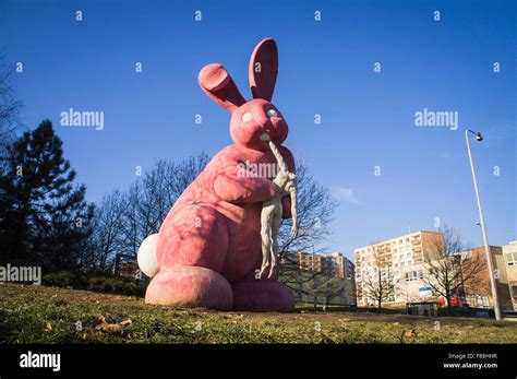 Pink Rabbits