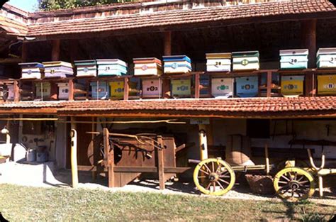 Seoski Turizam Turistička Organizacija Opštine Doljevac