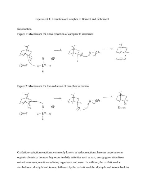 Camphor Lab Report Experiment 1 Reduction Of Camphor To Borneol And