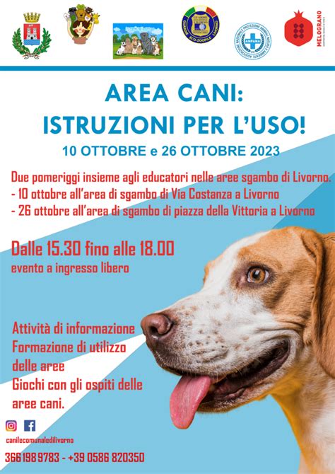 Aree Cani Istruzioni Per L Uso La Cuccia Nel Bosco