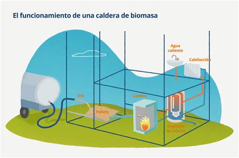 Calderas De Biomasa Que Son Y Como Funcionan Naturgy