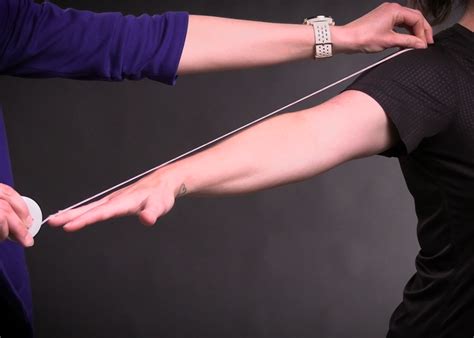 arm length  hand span body metrics  weight lab manual