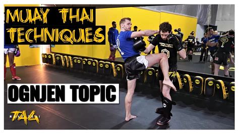 Muay Thai Techniques Teep Fake Teep Parry Knee V Ognjen