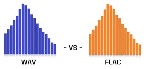 Everything You Need to Know About FLAC Files