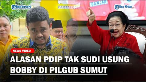 Tegas Pdip Tak Sudi Usung Bobby Menantu Jokowi Di Pilgub Sumut Ungkit