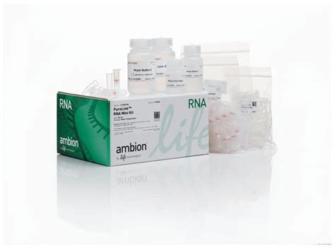 Invitrogen Purelink Rna Mini Kit Productos Bioqu Micos Y Reactivos