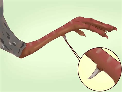 How To Sex Turkeys Different Physical Signs Identifiers Artofit