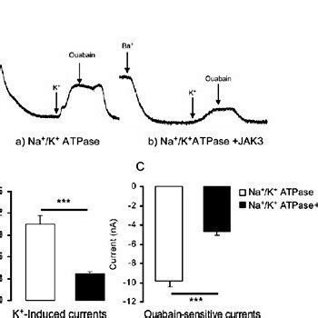 Decrease Of Na K ATPase Activity In Xenopus Laevis Oocytes By Wild