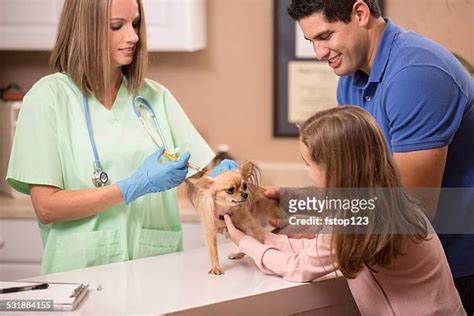 117 Famille Danimaux Stock Photos High Res Pictures And Images