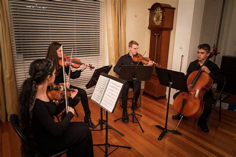 string quartet hire adelaide professional   contempo quartet
