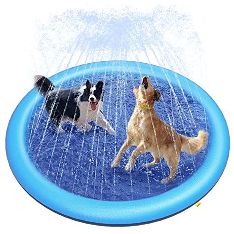 Las Mejores Piscinas Para Perros Para El Verano De