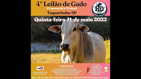 Leil O De Gado Hd Leil Es E Eventos Taquarituba Sp