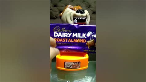 Dont Touch My Dairy Milk Chocolate Beware Of The Dog Short Youtube
