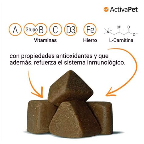 Comprar Activapet Complemento Alimenticio Para Perros