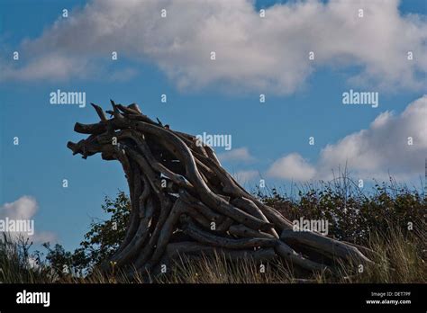 Twisted Trunks Hi Res Stock Photography And Images Alamy