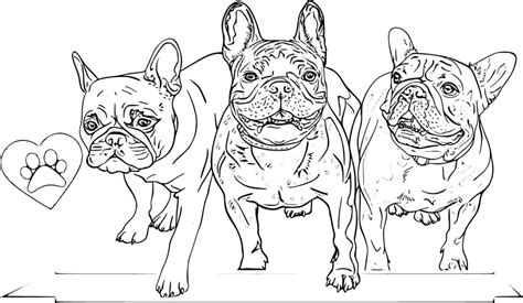 Coloriages Bouledogue | Coloriages gratuits