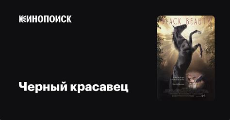 Черный красавец — Кинопоиск
