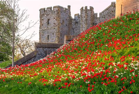 Gardens - Arundel Castle & Gardens