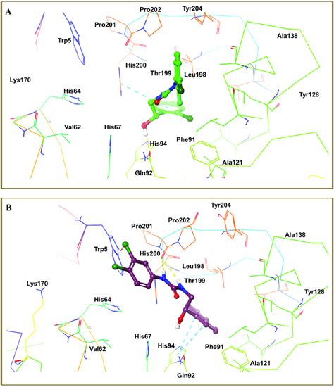 (A) 3D interactions of compound ZINC77671412 with different amino ...