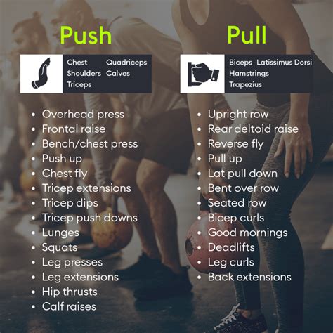 Transform Your Routine With Push Pull Workouts The Hussle Blog Push