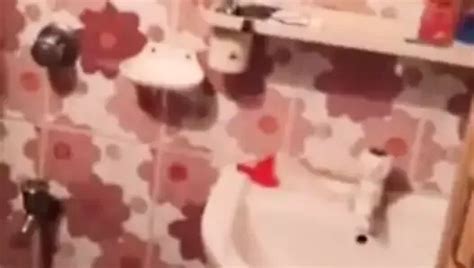 Free Desi Bathroom Porn Videos Xhamster