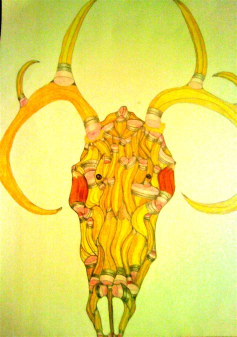 pencil drawings of skulls 4