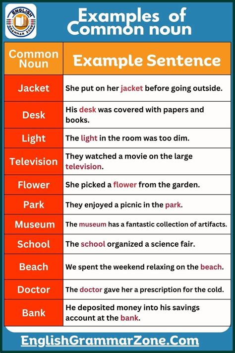 examples  common noun  sentence english grammar zone