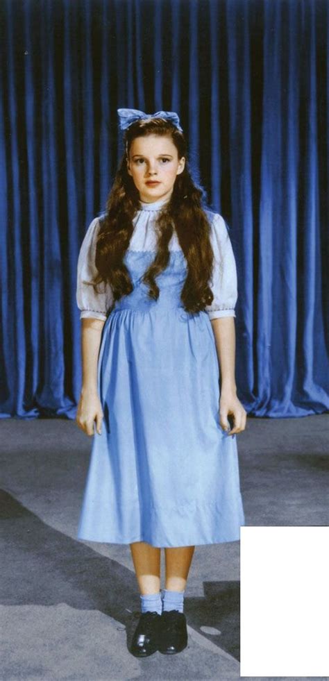 Judy Garland Dorothy Dress