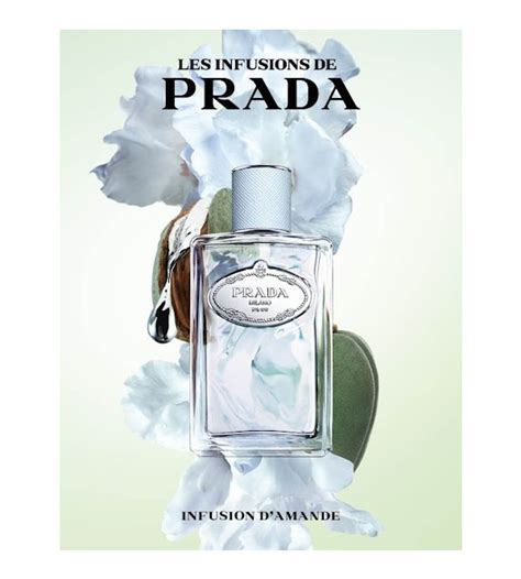 Infusion D Amande Edp Ml Prada Perfumer As Avenida