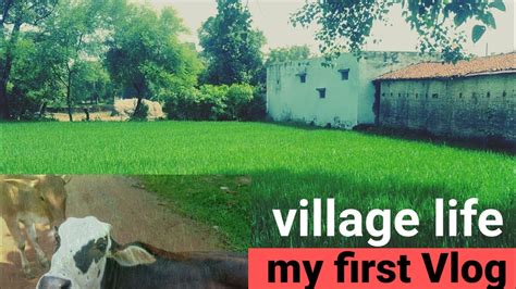 My First Vlog Village Life YouTube