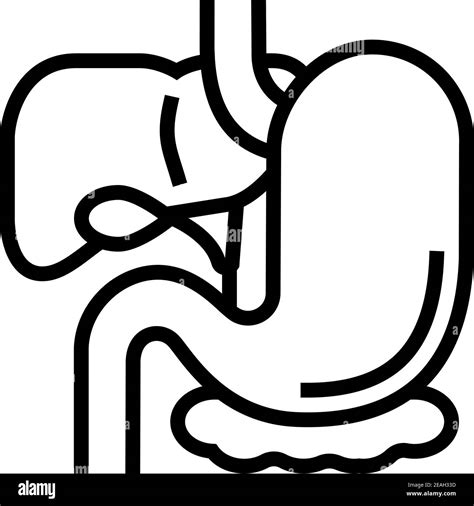 Gastrointestinal Tract Line Icon Vector Illustration Stock Vector Image
