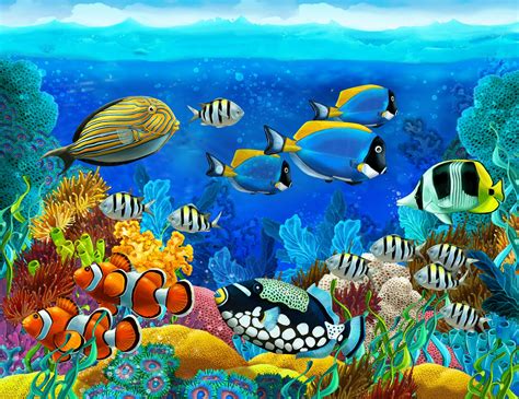 🔥 100 Ocean Fish Wallpapers Wallpapersafari