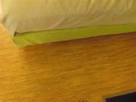 Olympia Wa Amateur Amateur Porn Xhamster