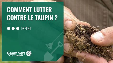 Tuto Comment Lutter Contre Le Taupin Jardinerie Gamm Vert Youtube