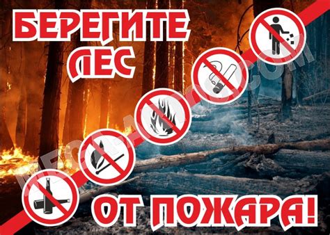 Купить стенд «Берегите лес от пожара» за 1 200 руб.