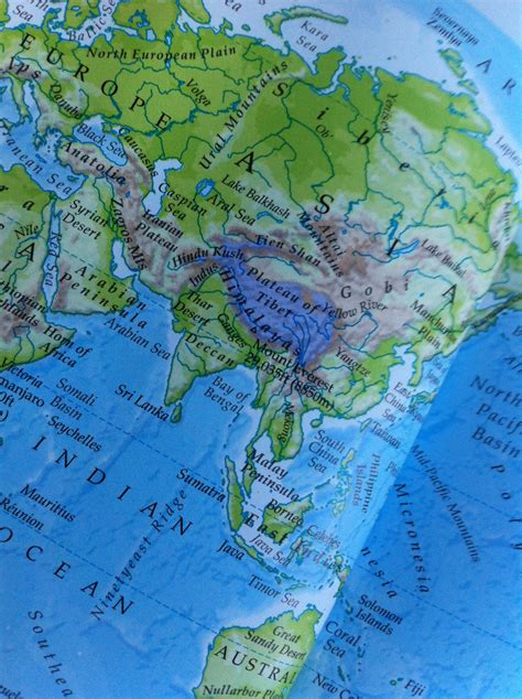 victims engagement and services line vesl