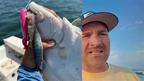 Long Beach Island LBI Fishing Reports Hot Spots