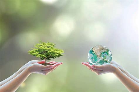 A Solution To Air Pollution Certified Cosmetic Products • Ecogarantie