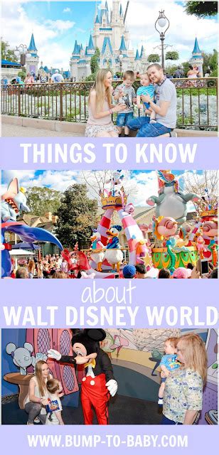 Things To Know About Walt Disney World Alex Gladwin Blog