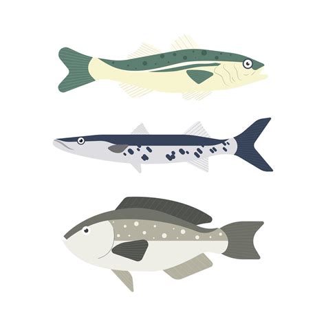 Set of river fish. Fish isolated on white background. Vector ...