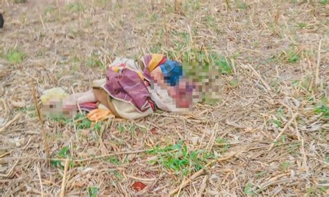 O Que É Corpo Desovado - Homem é assassinado e tem corpo desovado na zona rural de Marialva