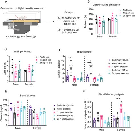 Influence Of Biological Sex And Exercise On Murine Cardiac Metabolism Pmc