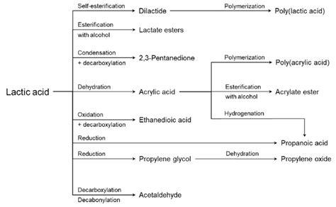 Lactic Acid As A Precursor Molecule For The Synthesis Of Industrially