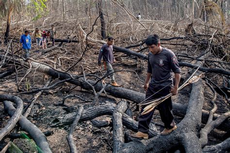 Los Pueblos Indígenas Podrían Encabezar Un Plan Global Para Conservar La Naturaleza Ruraltv