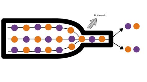 Bottleneck Analysis