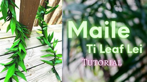 How To Make A Maile Ti Leaf Lei Youtube