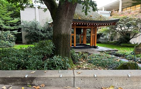 GEORGE WASHINGTON BICENTENNIAL YEAR MEMORIAL TREE - National War