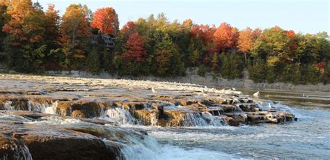 About Falls Reserve Conservation Area – Maitland Valley Conservation ...