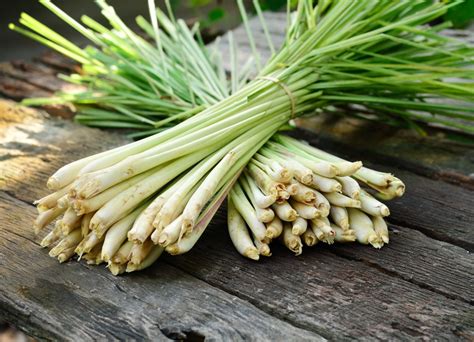 Лимонная трава