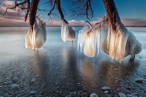 The 30 Most Amazing Photos Of Frozen Things In Honor Of The Coldest